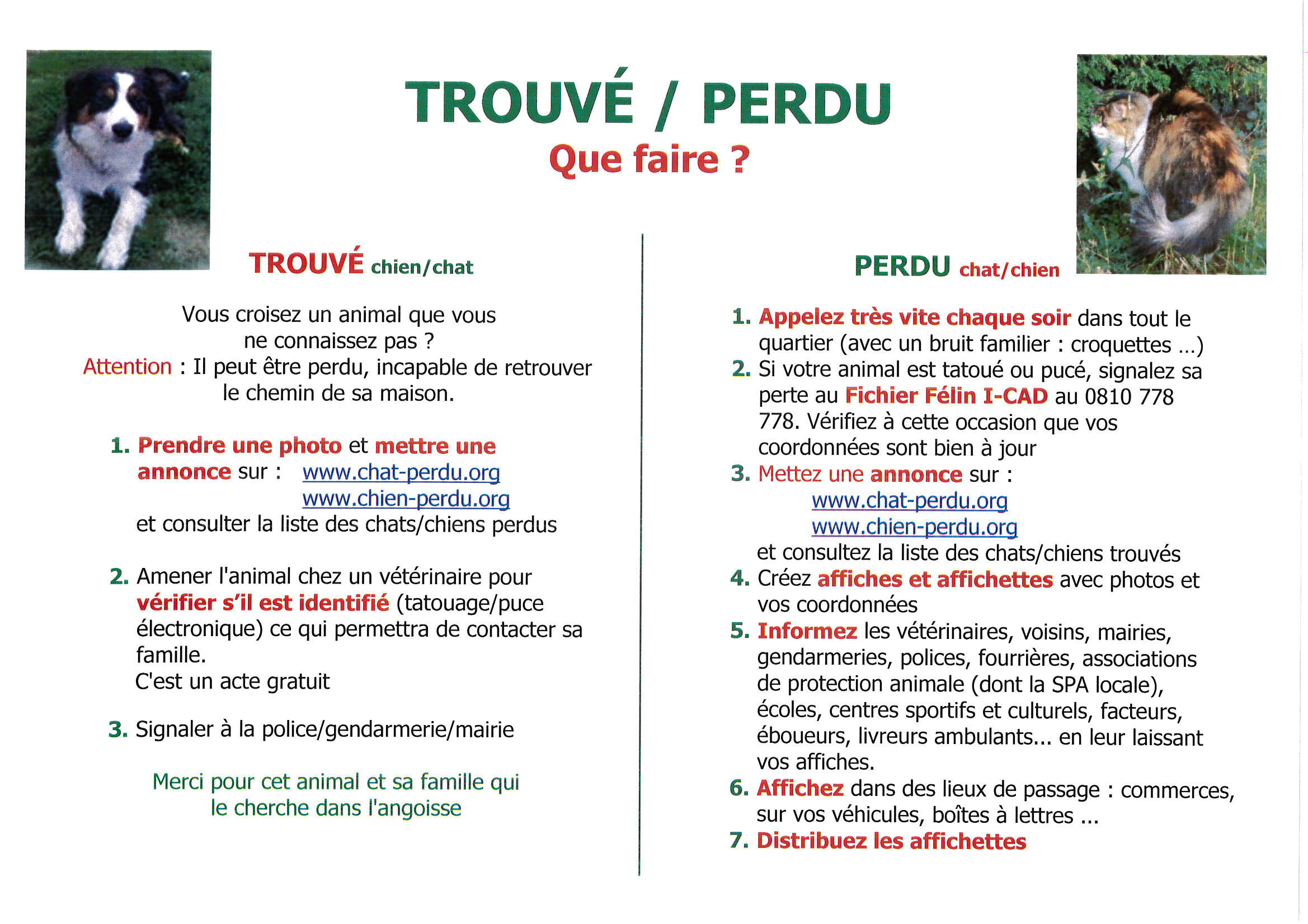 ANIMAUX_PERDUS_TROUVES.jpg