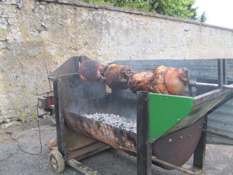 COCHON_REDIMENTIONNE.jpg