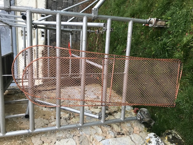 IMG 7924