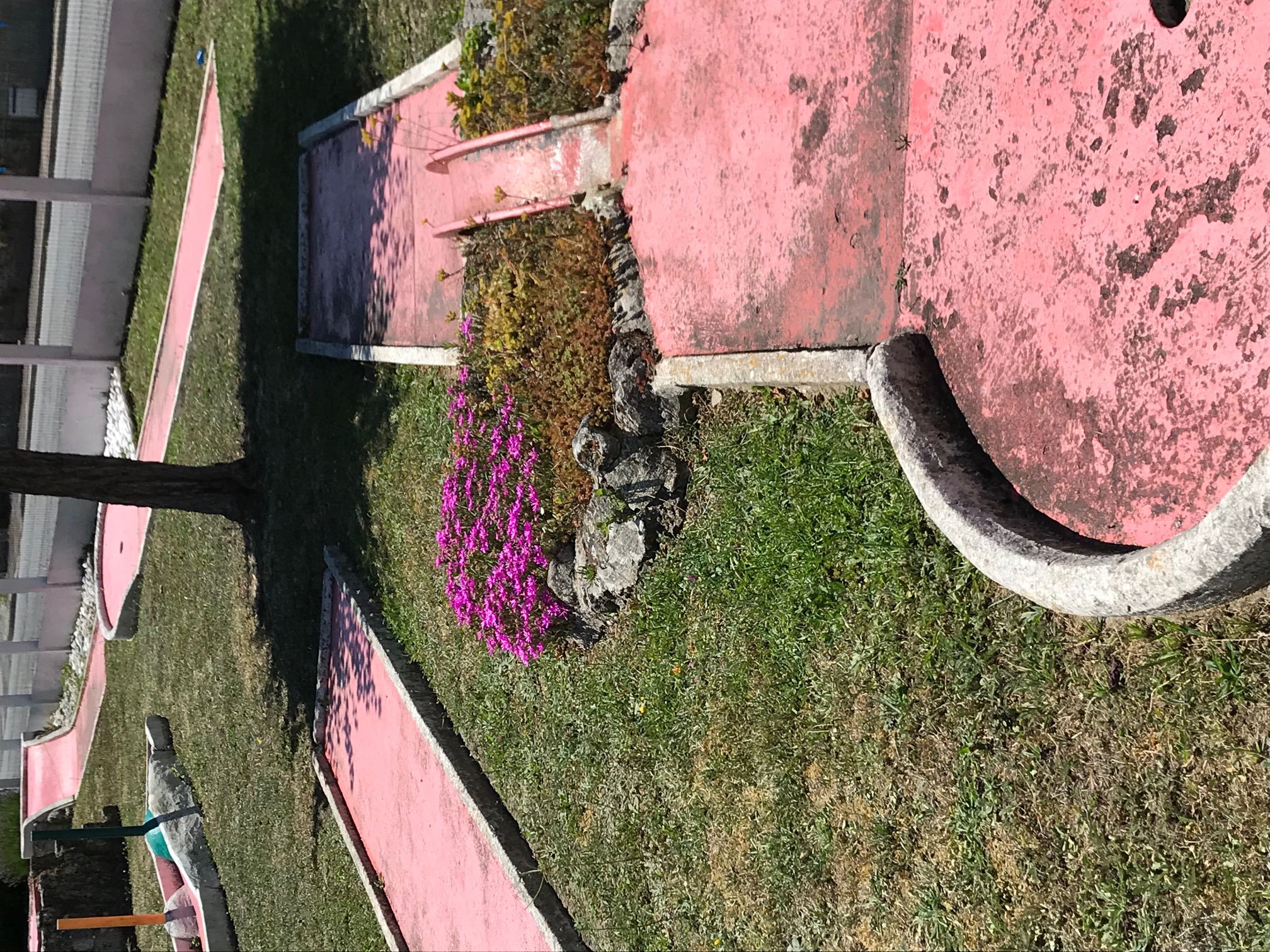 mini golf