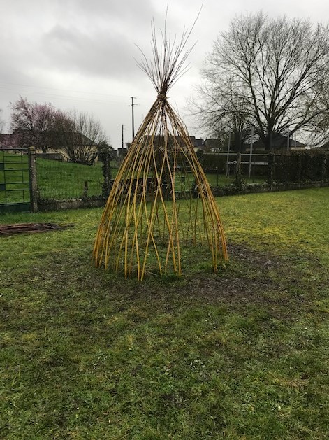 2020030503 tipi bis