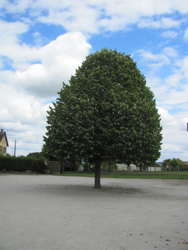 TABLES_ET_VITRAIL_004_REDIMENTIONNE.jpg