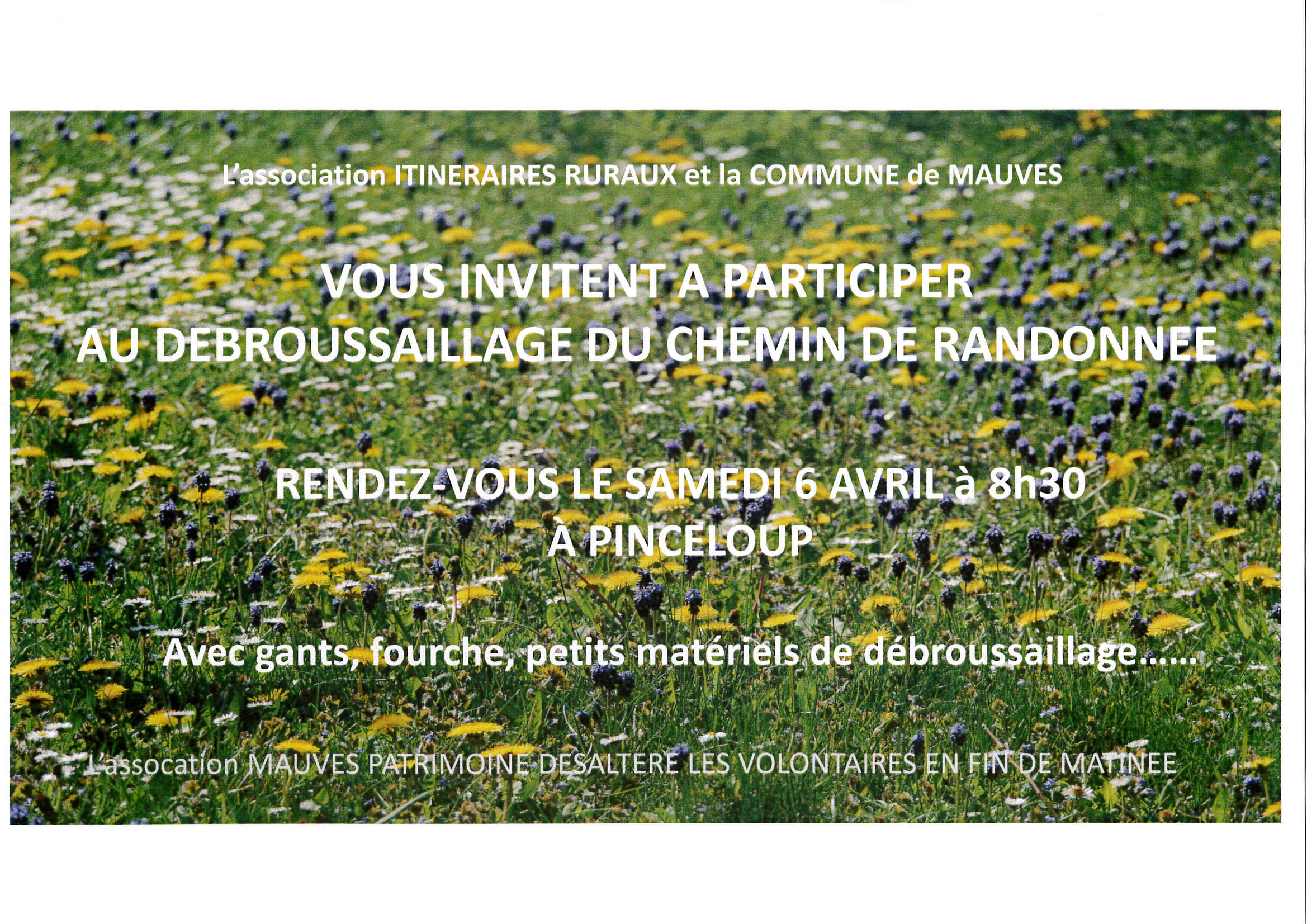 20190405 MAUVES PATRIMOINE