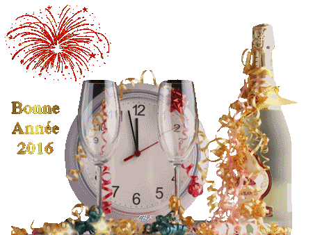 bonne_annee_2016.gif