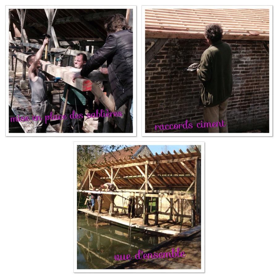 collage_3.jpg