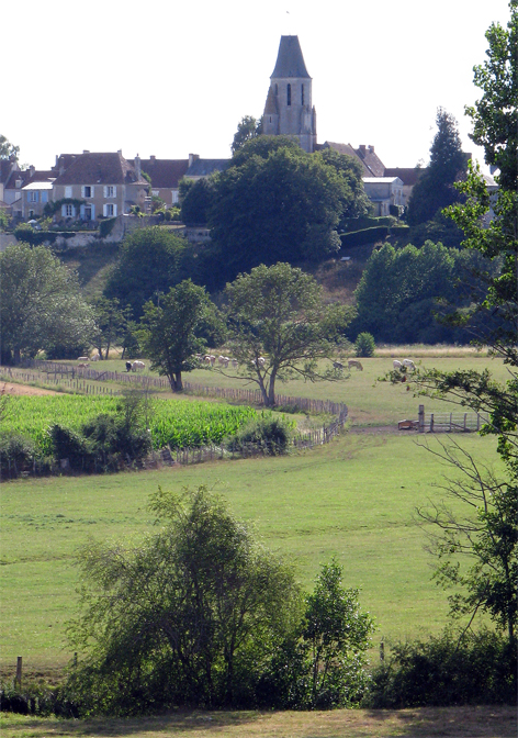 campagne mauves