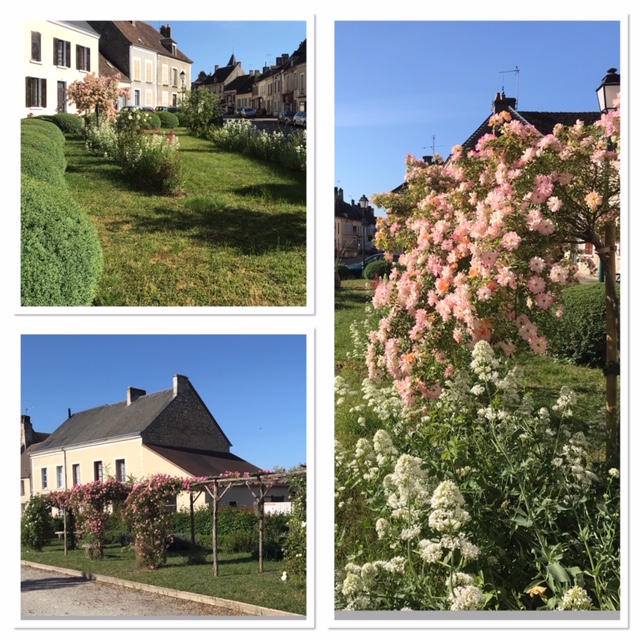 20200525 fleurs 