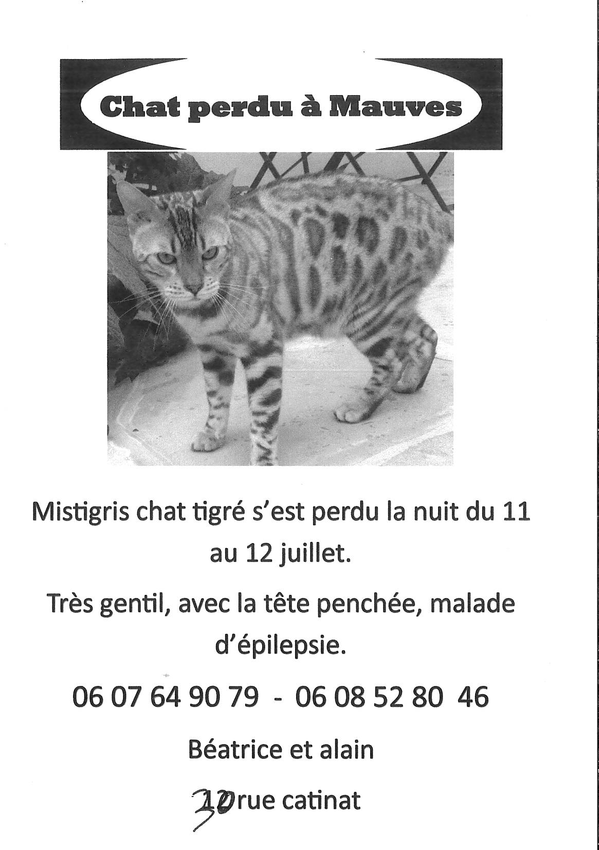 20210712 CHAT PERDU