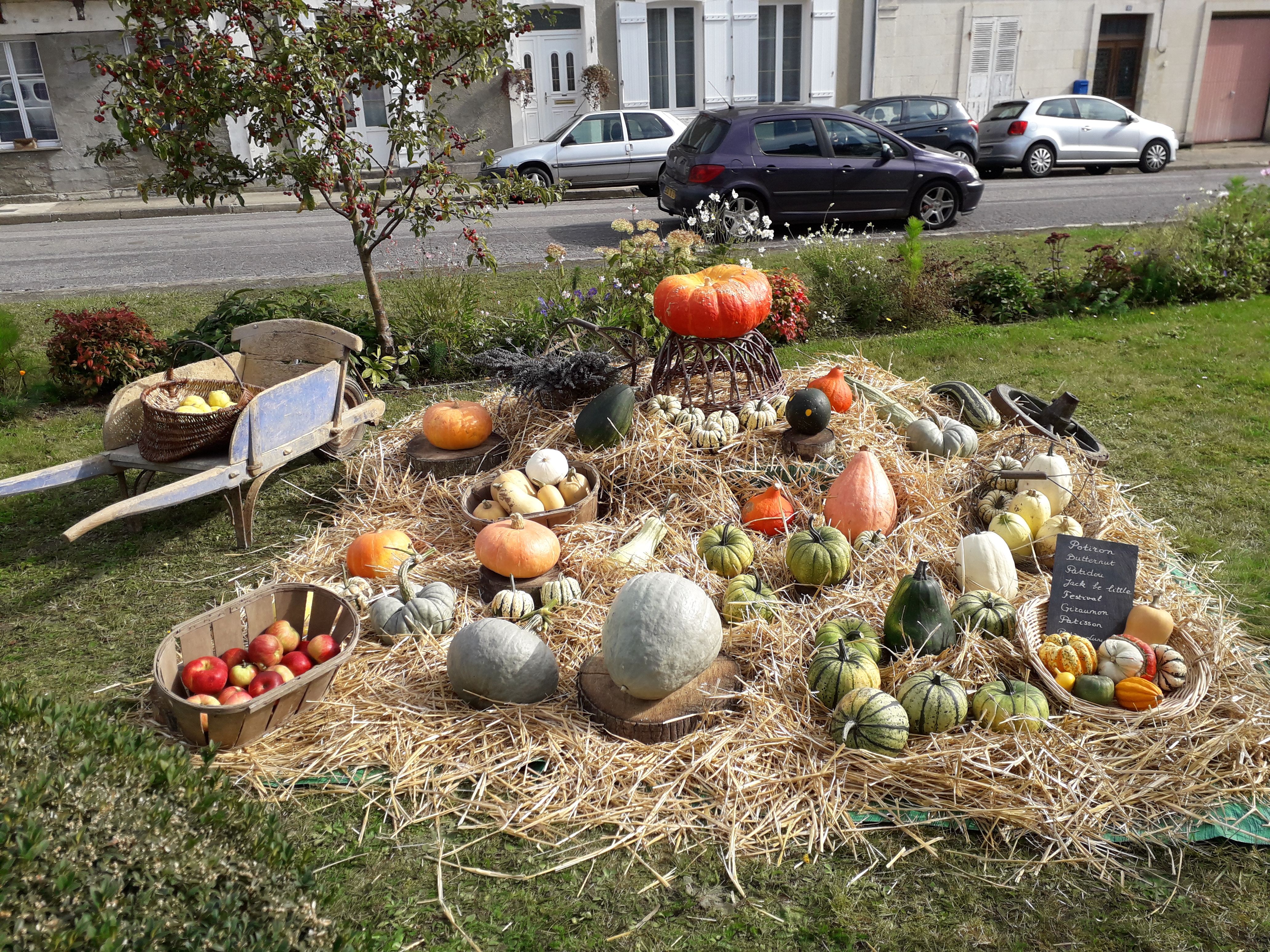 20211015 expo courges