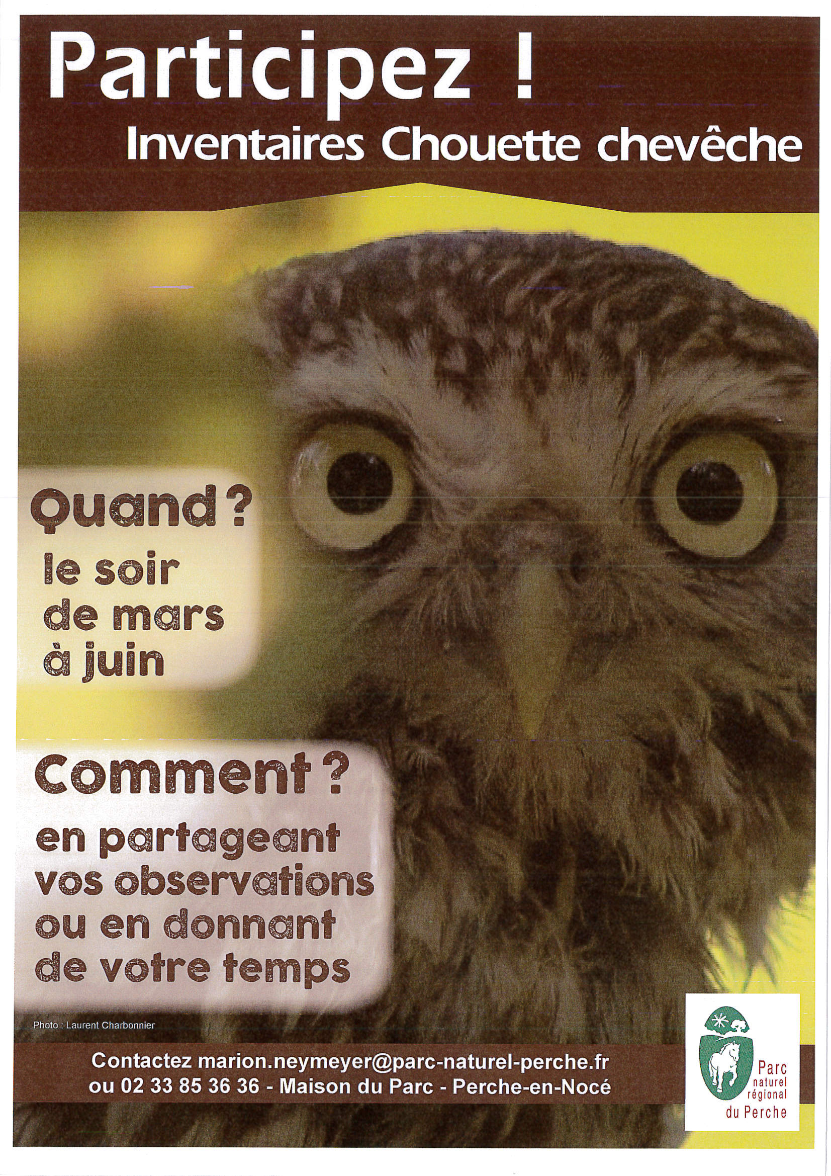 CHOUETTE CHEVECHE 2017