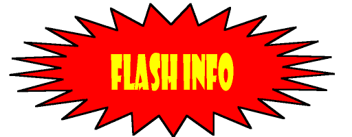 FlashInfo 2