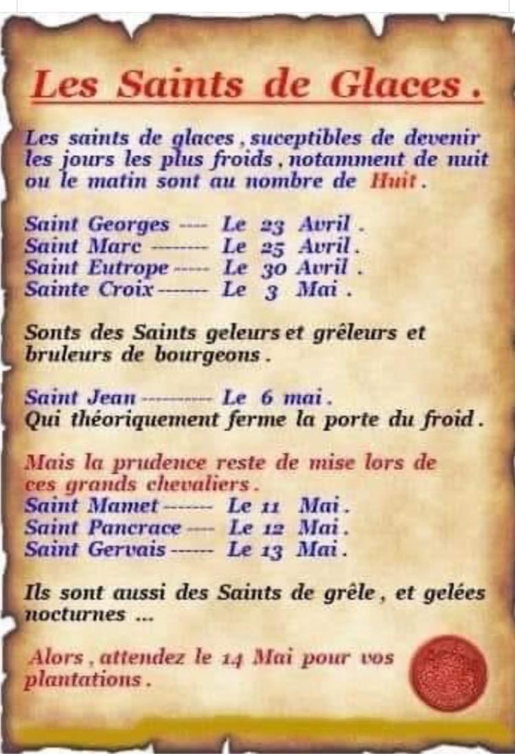 SAINTS DE GLACE 2022