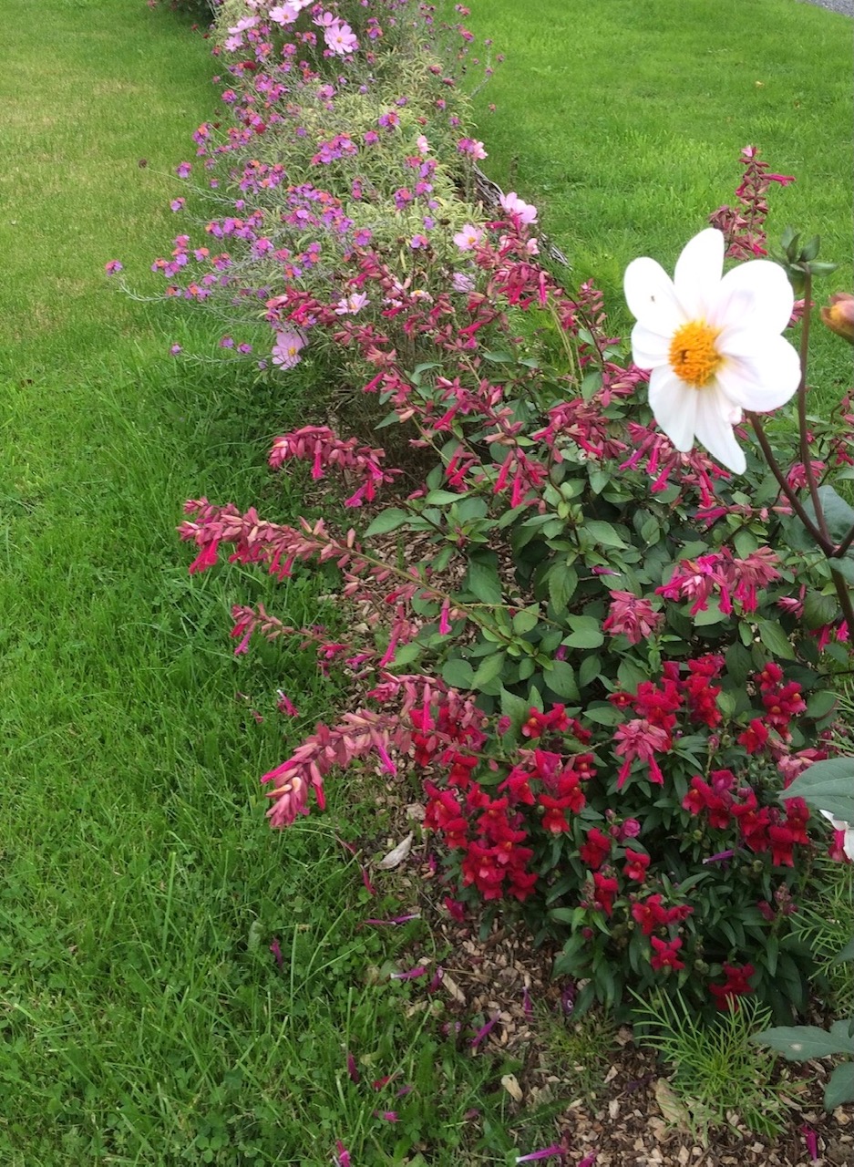 fleurs 2021