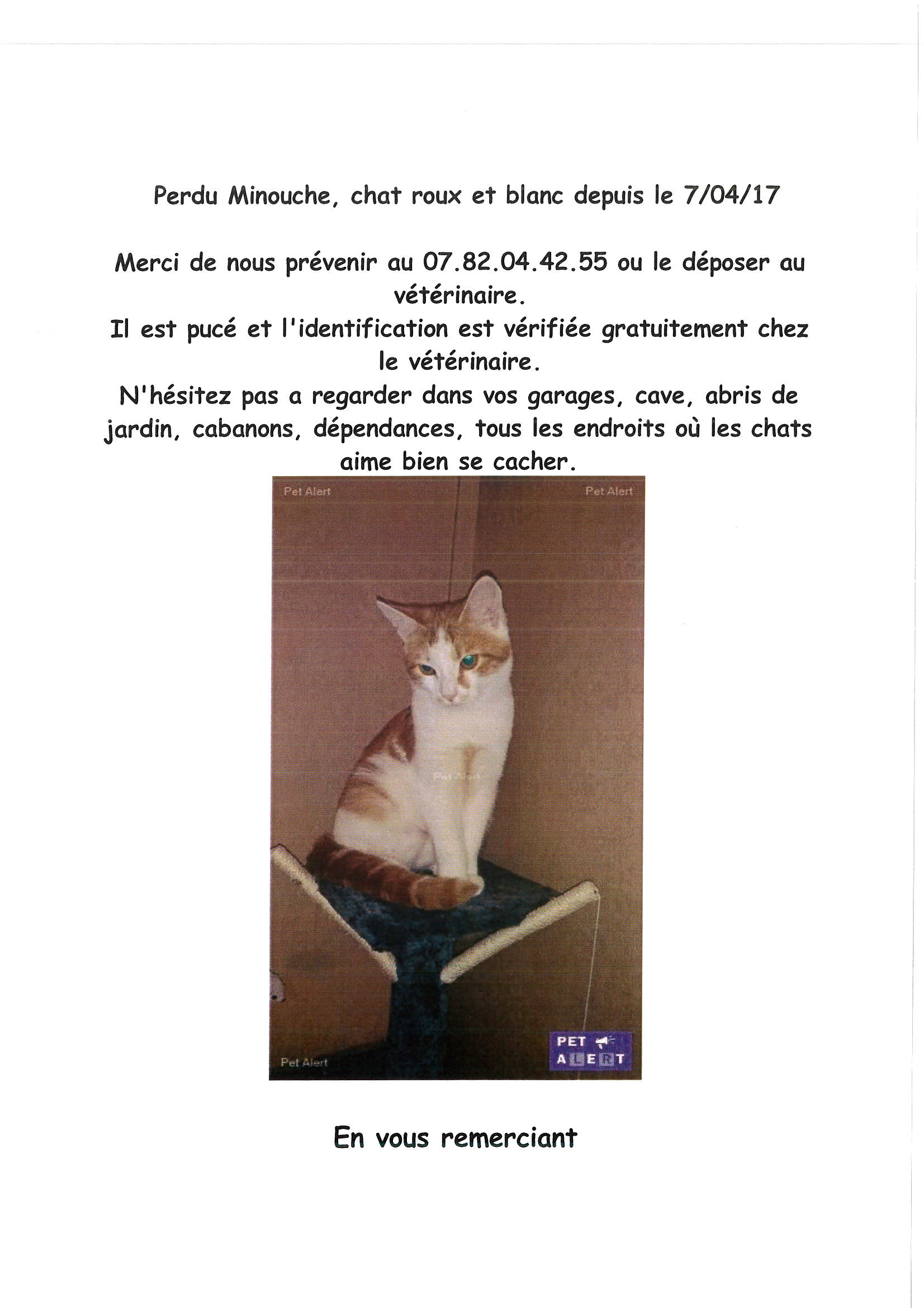 minouche