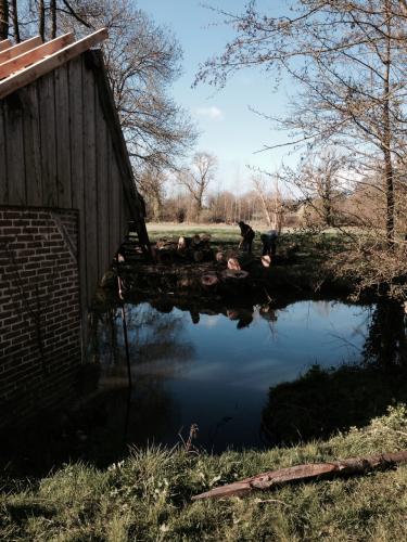 lavoir_cote_droit_1.jpg