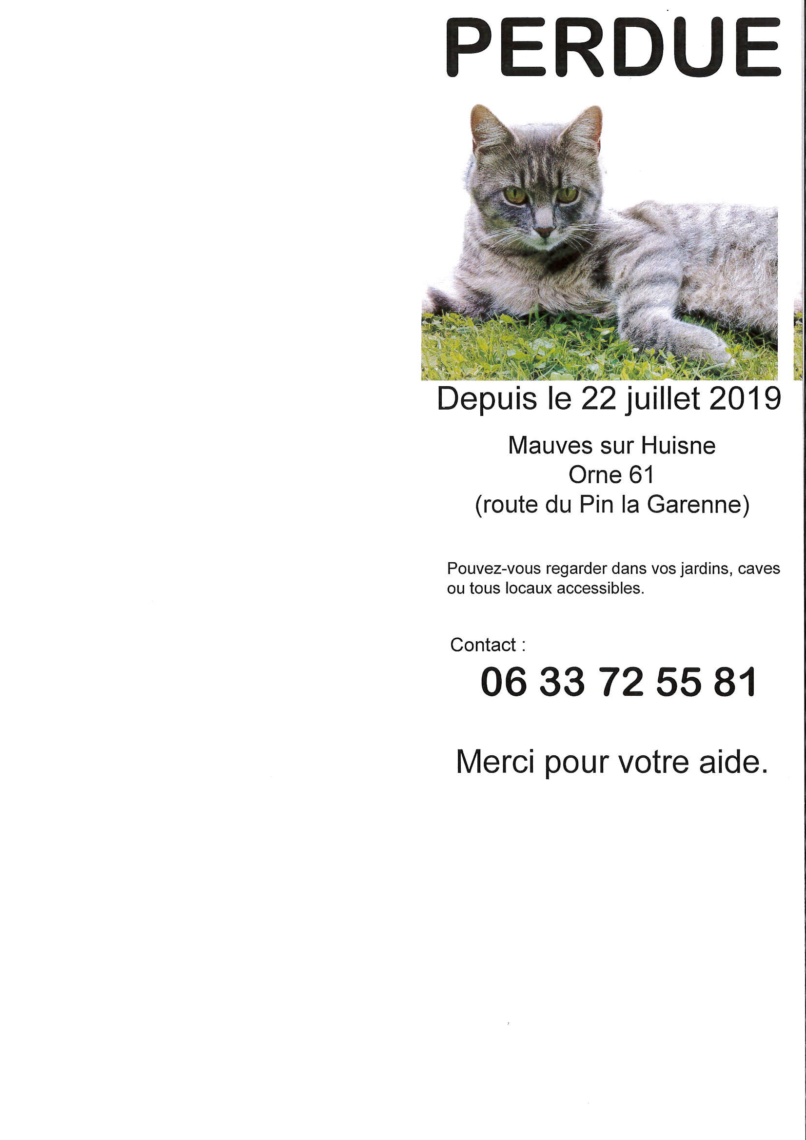 caillon chat