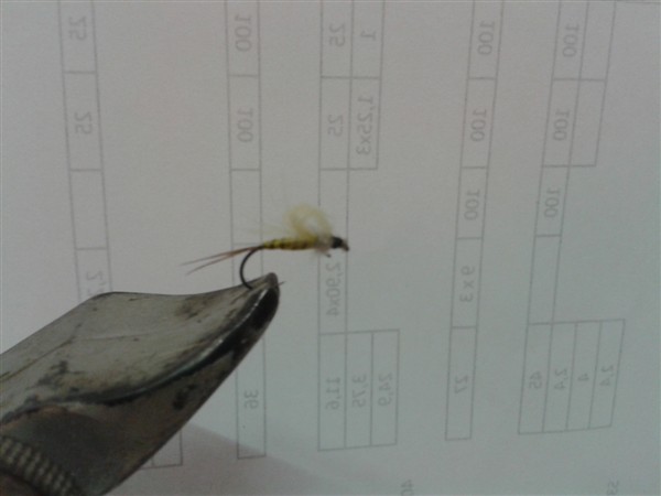 mouche_finie_600_x_450_mouche_finie.jpg