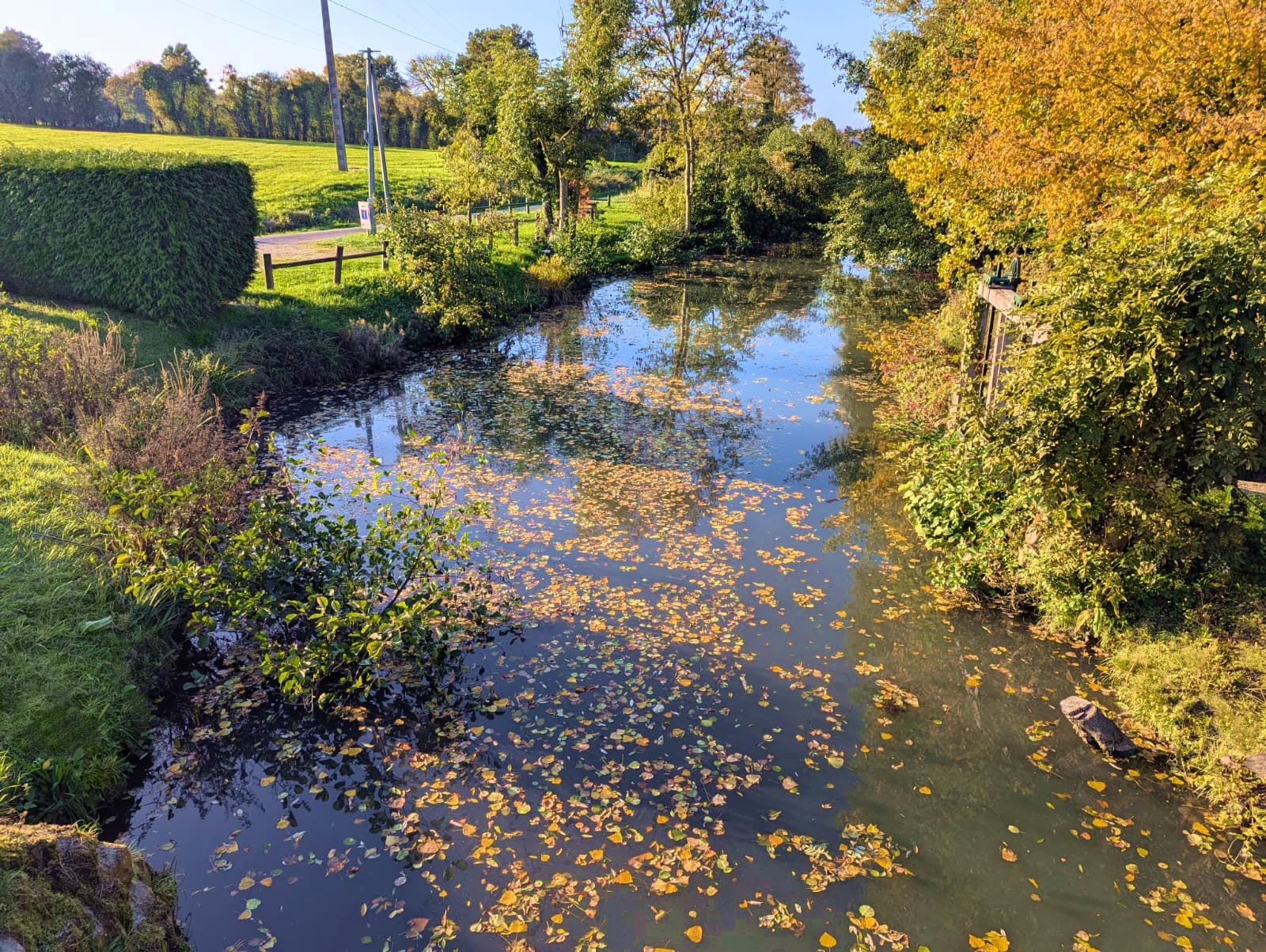 L'Huisne en automne, depuis l'un des ponts Catinat