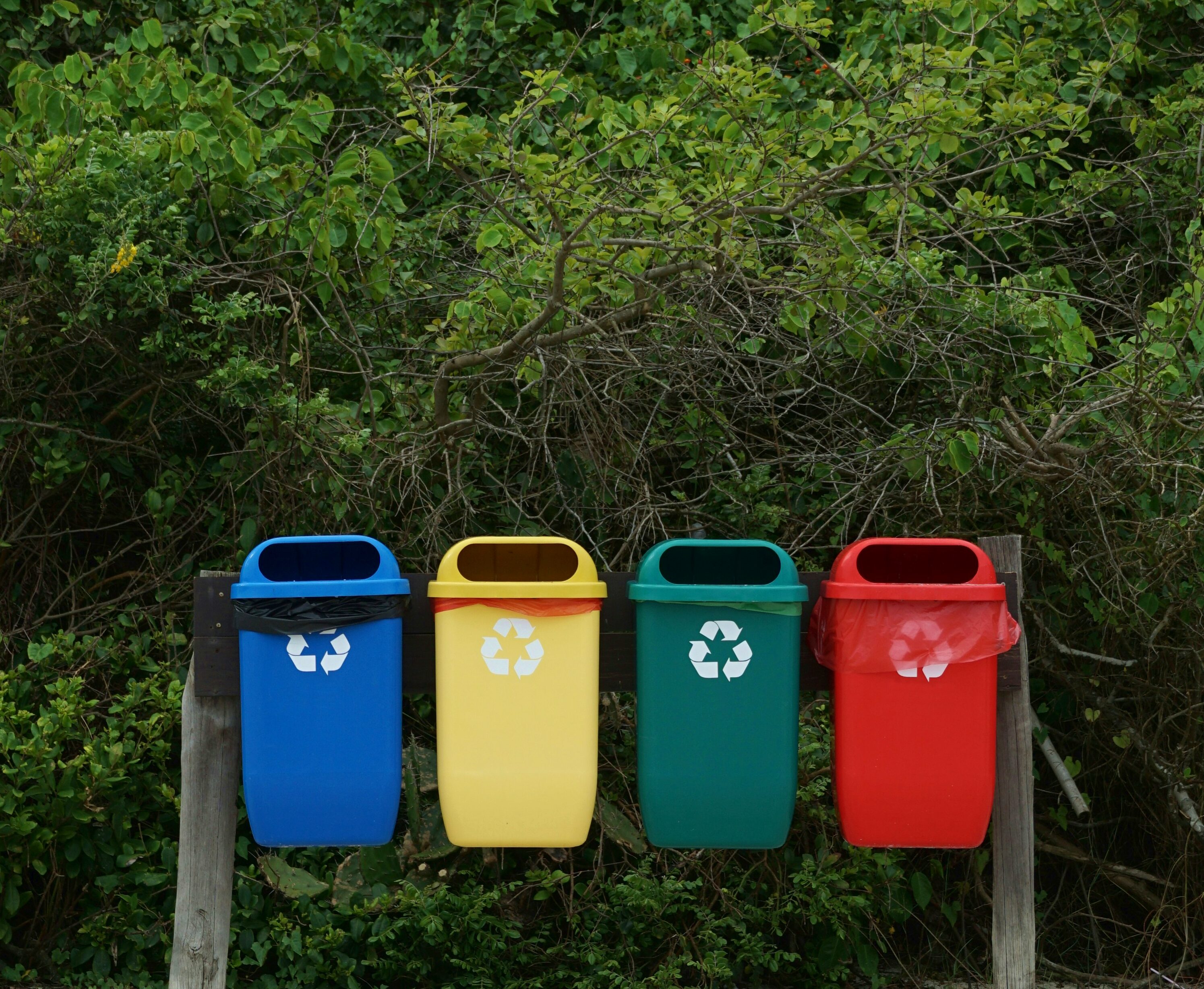 Photo de poubelles de tri