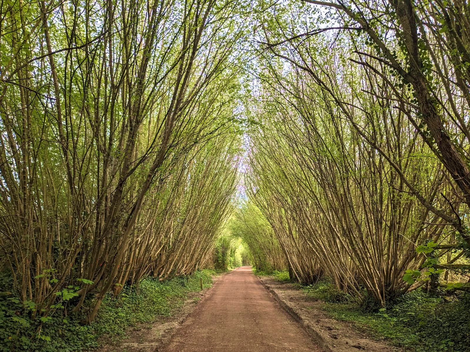Voie verte - Mauves-sur-Huisne